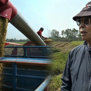 种田反而亏钱！泰国农民卖拖拉机还债