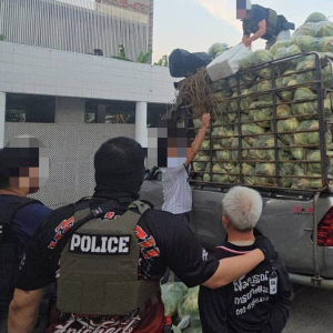 震撼！曼谷皮卡藏毒1.6吨，用水葫芦伪装仍被抓