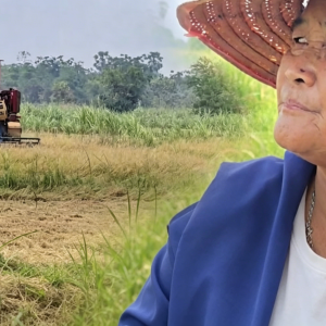 燃油价格上涨成本失控，泰国农民集体停耕