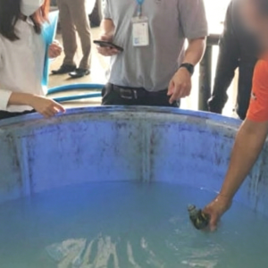 椰子水竟是清水加香精！泰国查获假椰子水黑作坊