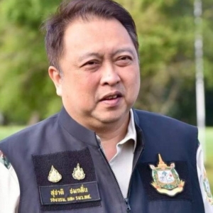 警示！普吉海滩出现毒水母，游客切勿触碰