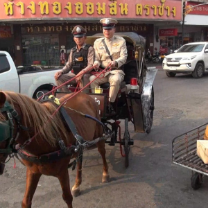 南邦泼水节骑马巡逻上路，节约燃油成本