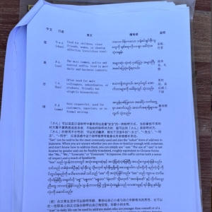泰军打击跨境诈骗，查获“日本人攻略手册”专业诈骗文案