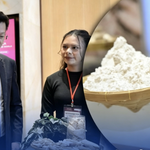 泰国木薯进军中国西部，重庆站成功达成20.87亿泰铢订单