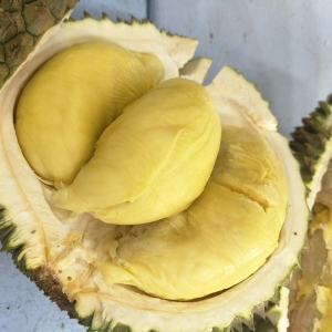 榴莲自由来了！2026泰国自助最低599泰铢吃到撑