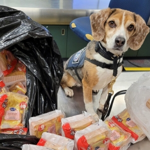 百余份泰国三明治被销毁！美国海关严查违规入境肉制品