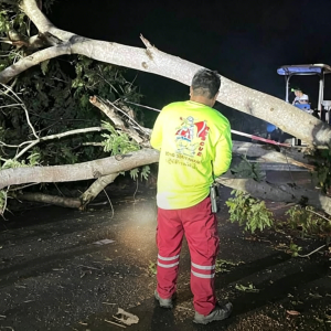 夜间风暴突袭！捕蛙男子撞树当场身亡