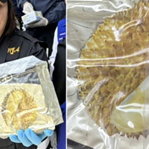 榴莲里全是毒！248公斤冰毒差点运进泰国
