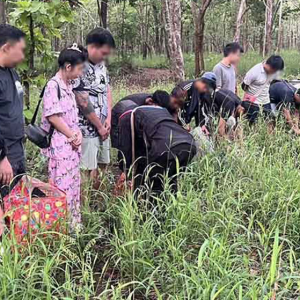 公司停运被迫外逃：16名电诈人员从波贝偷渡泰国被捕
