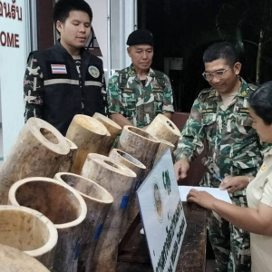 已与老挝展开联合调查！泰国通报湄公河跨国走私象牙案