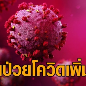 重磅！泰官方确认新毒株占比超一半，传染力变强