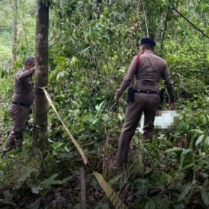 刚卖土地一个月就遇害！泰56岁园主林地干活惨遭乱枪射杀