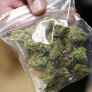 大麻圈要变天？泰国重拳封杀假处方产业链