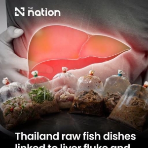 爱吃生鱼生腌鱼注意！泰国超4万人感染，严重可致癌